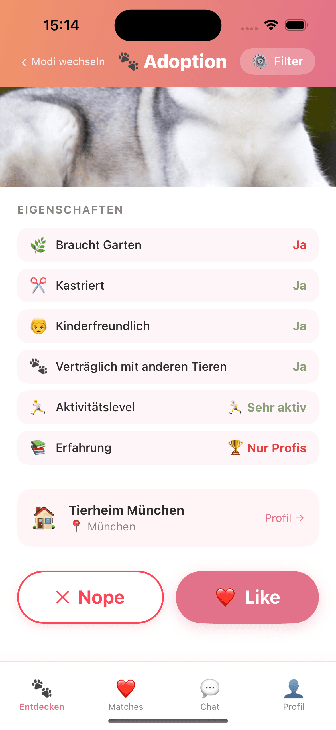 Swipet Screenshot 5